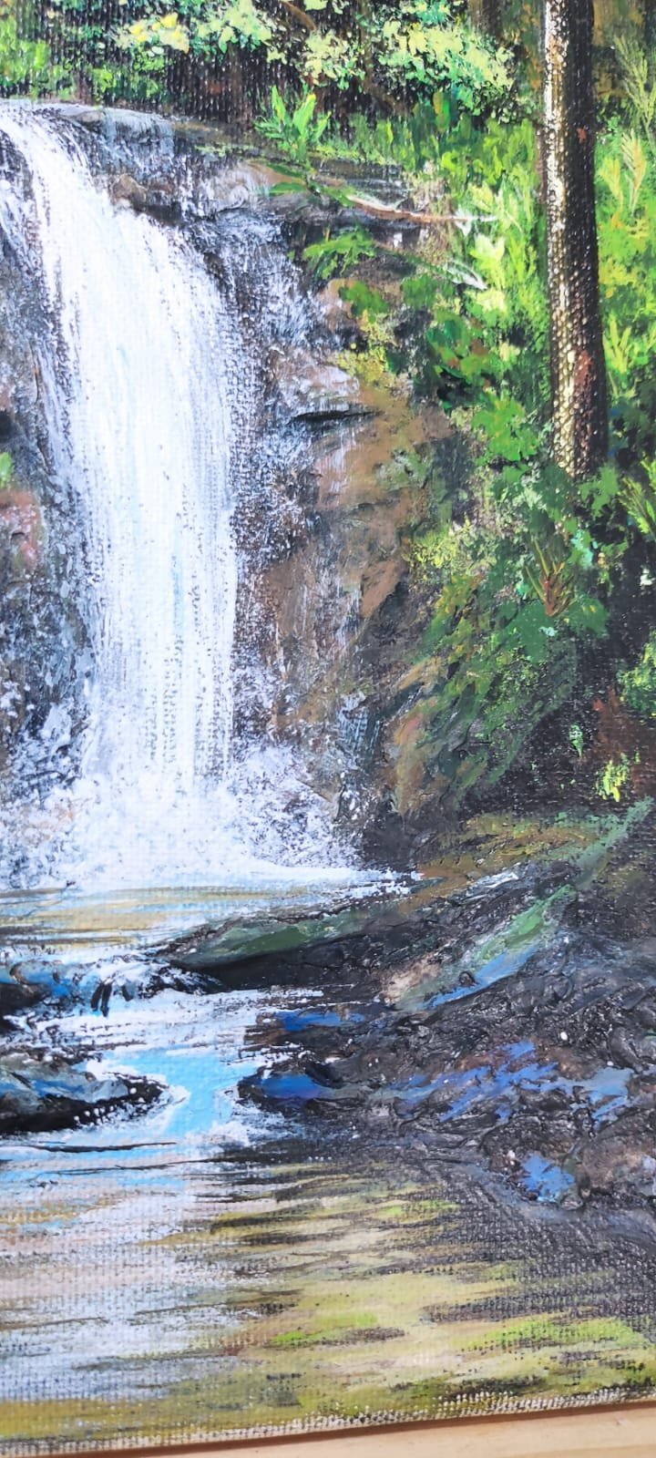 Waterfall cascading into a pool surrounded by moss-covered rocks and lush green forest vegetation
